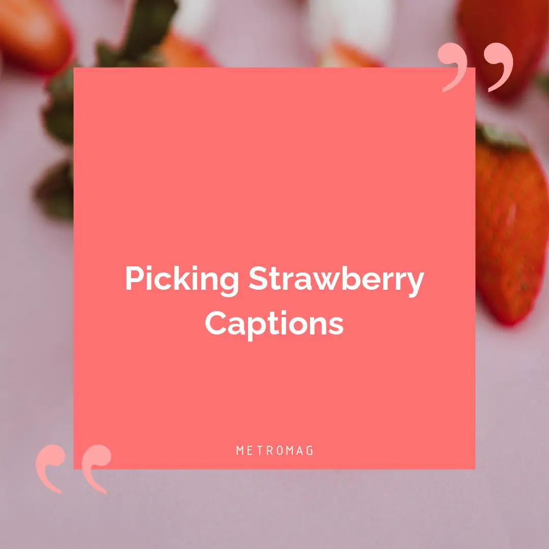 Picking Strawberry Captions