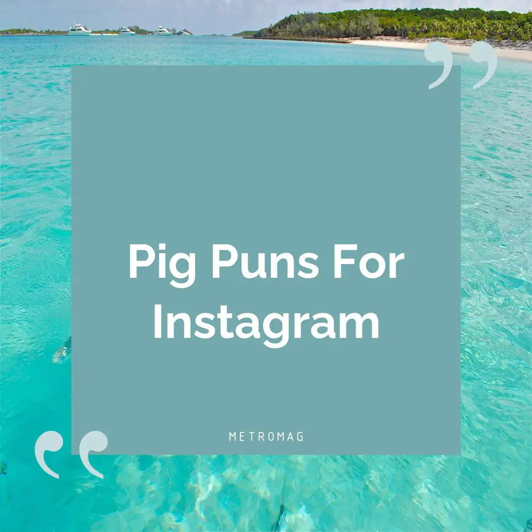 Pig Puns For Instagram