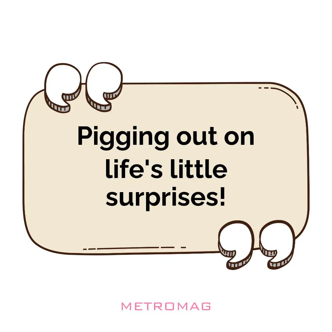 Pigging out on life's little surprises!