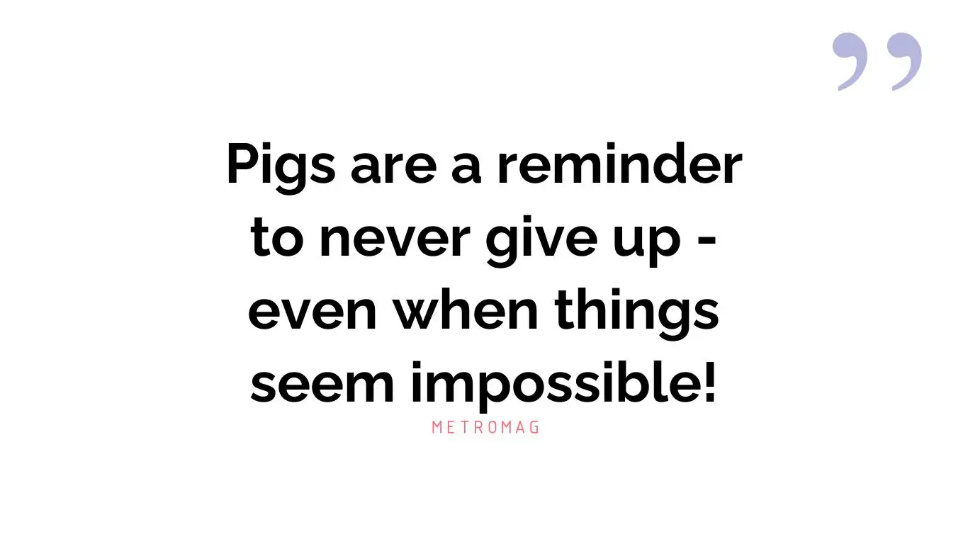 Pigs are a reminder to never give up - even when things seem impossible!