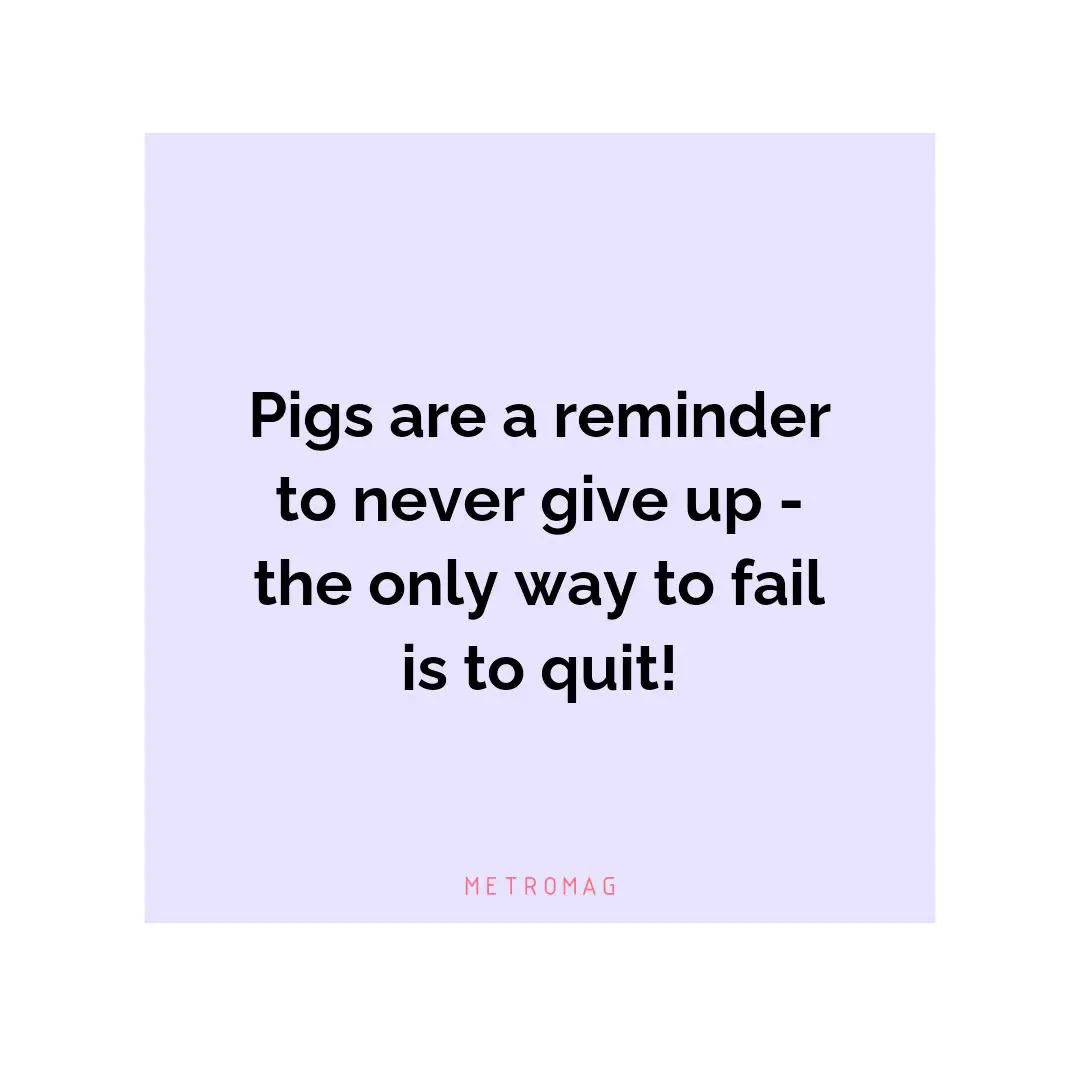Pigs are a reminder to never give up - the only way to fail is to quit!