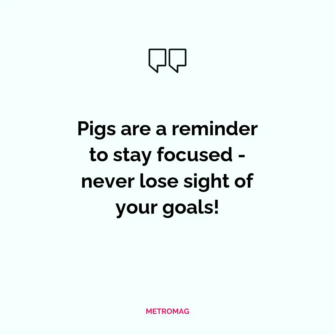 Pigs are a reminder to stay focused - never lose sight of your goals!