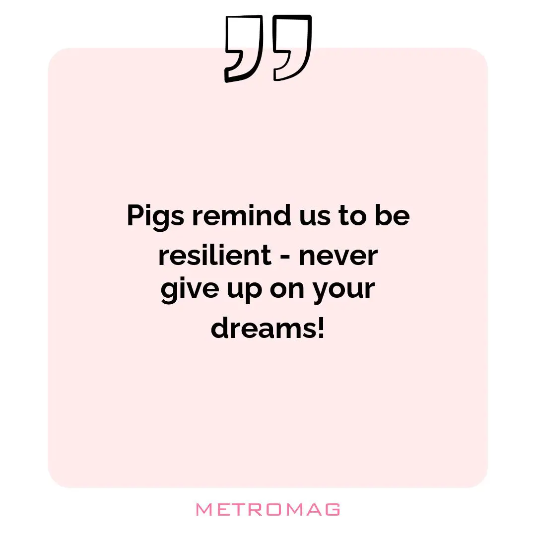 Pigs remind us to be resilient - never give up on your dreams!