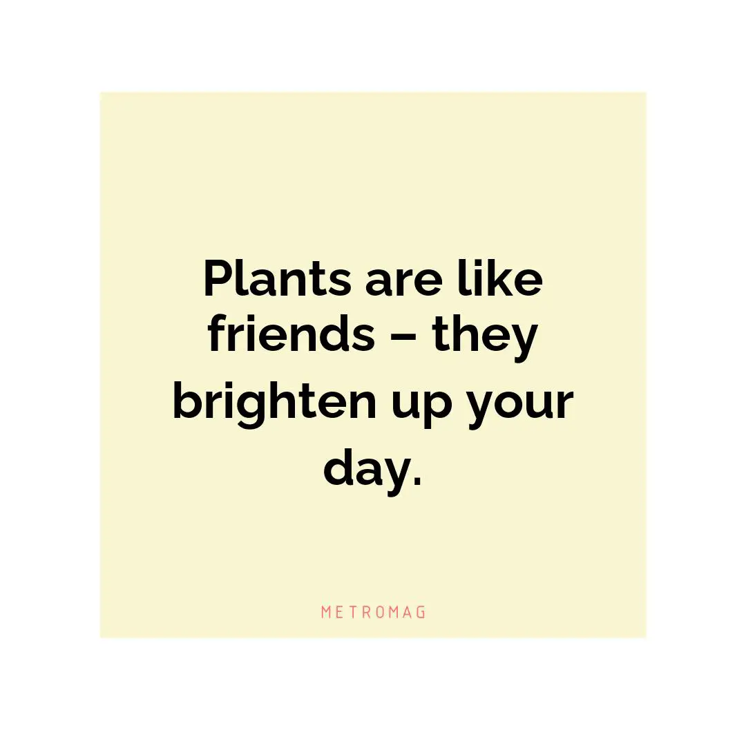 Plants are like friends – they brighten up your day.