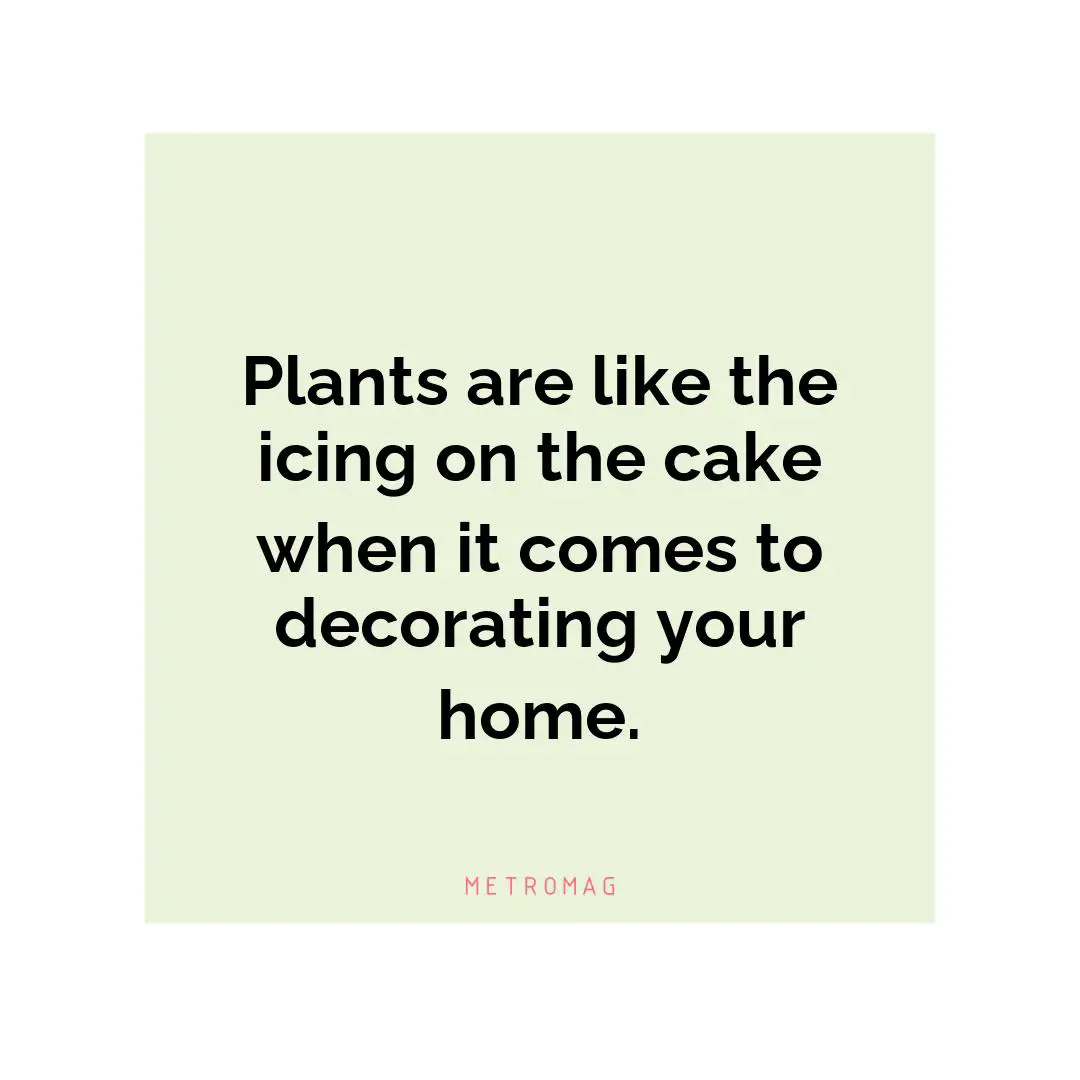 Plants are like the icing on the cake when it comes to decorating your home.