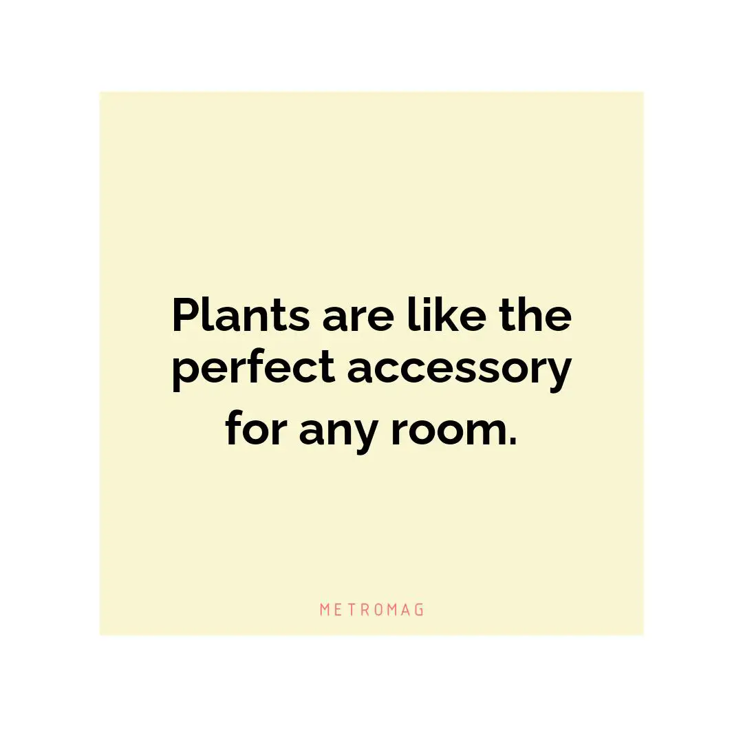 Plants are like the perfect accessory for any room.