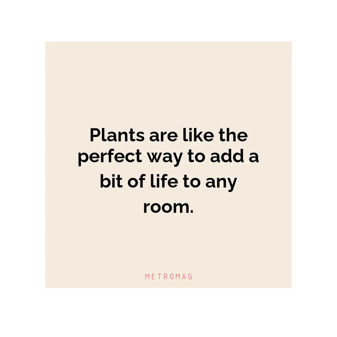 Plants are like the perfect way to add a bit of life to any room.