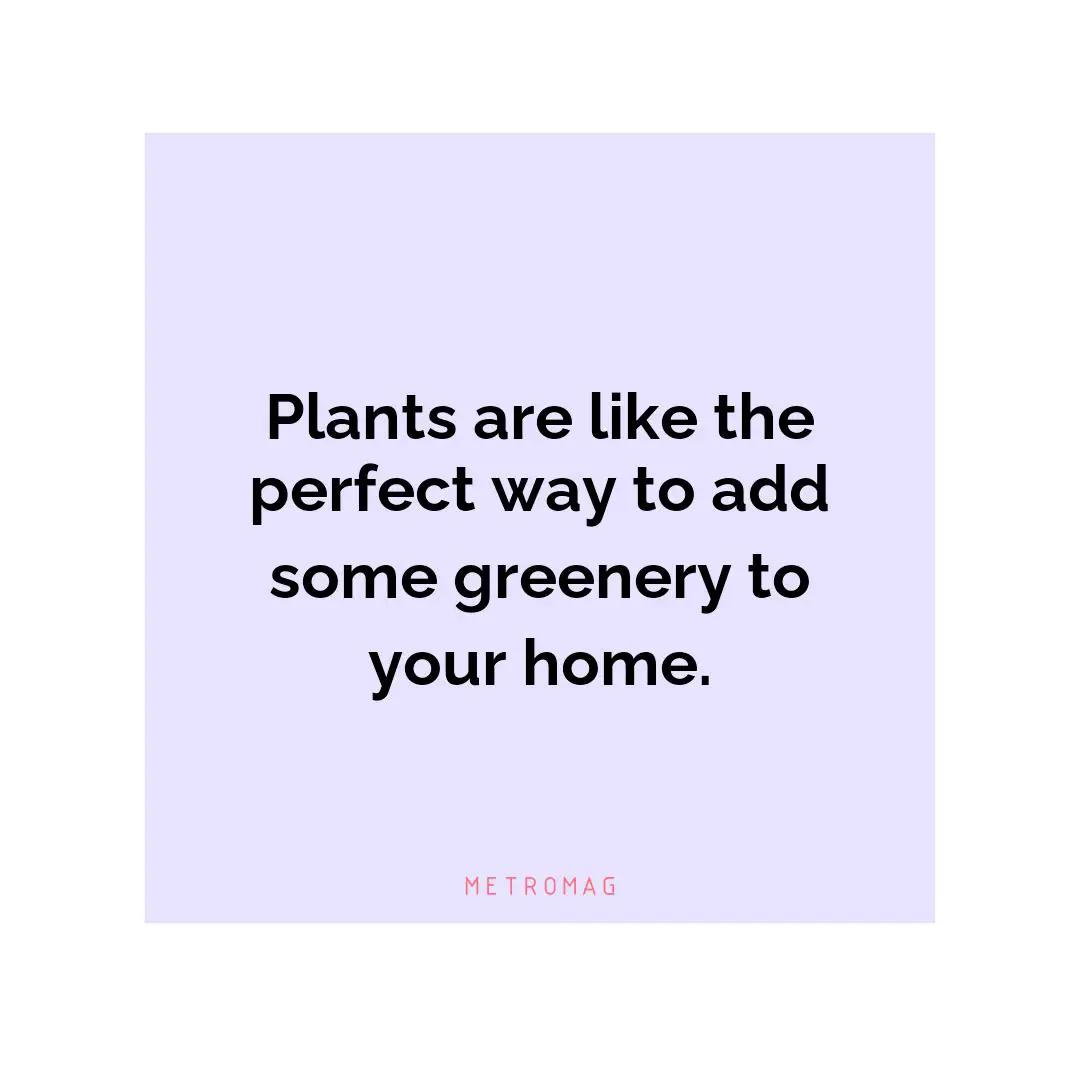 Plants are like the perfect way to add some greenery to your home.