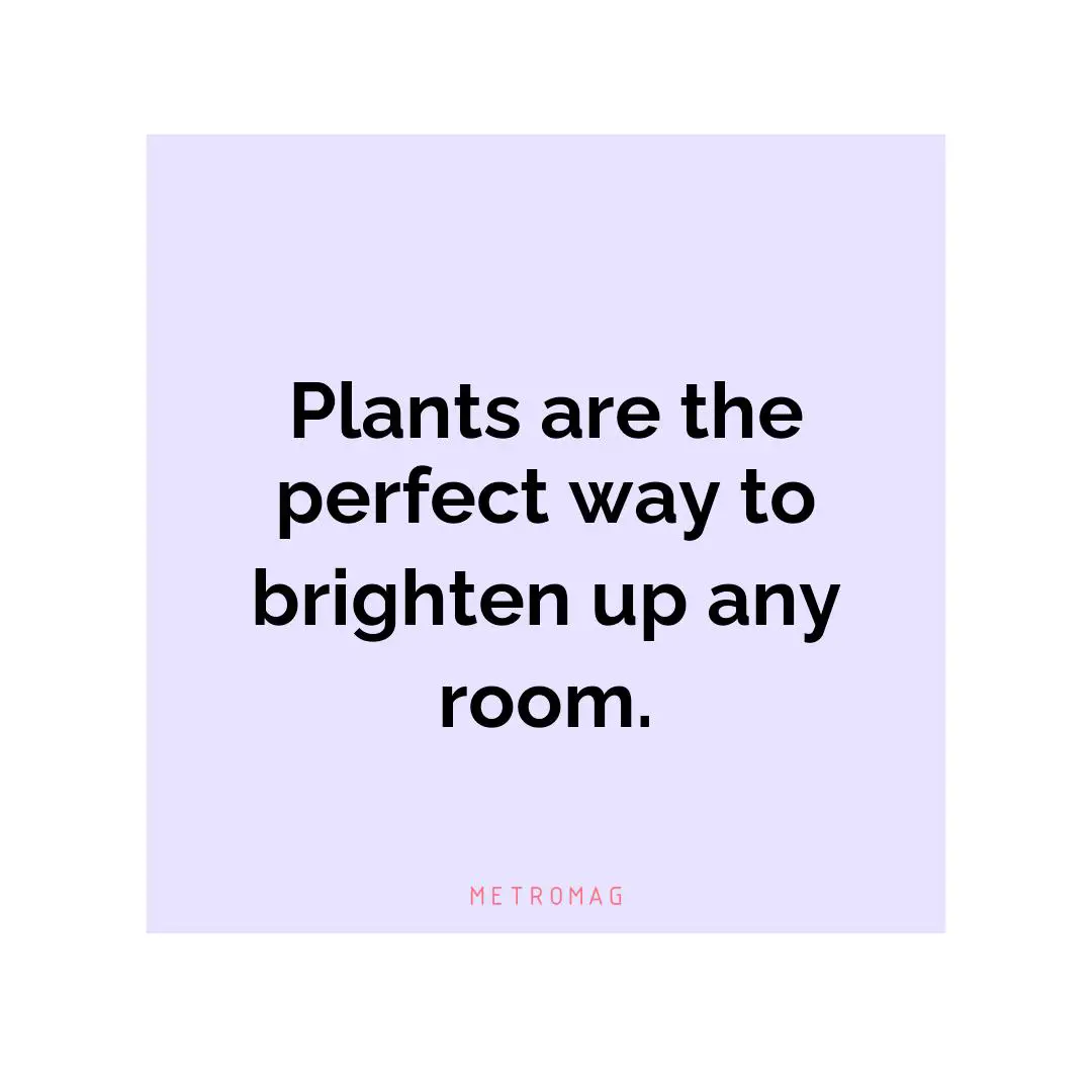 Plants are the perfect way to brighten up any room.