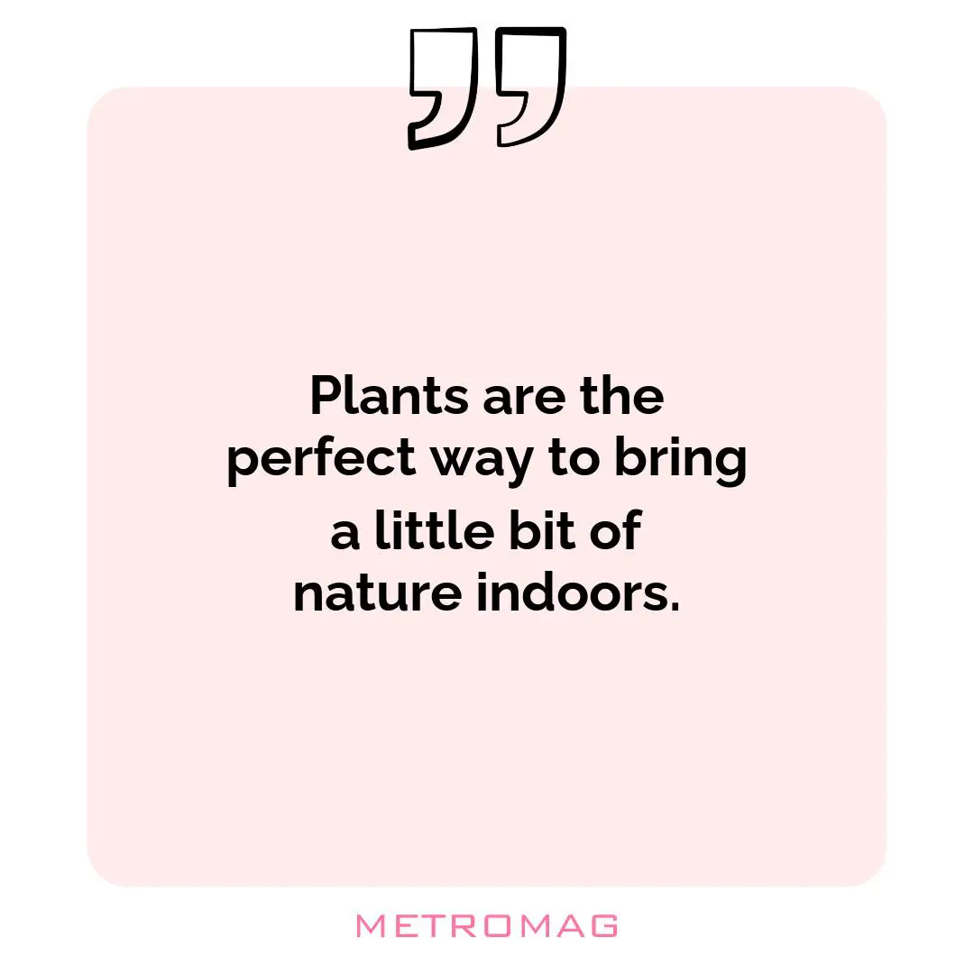 Plants are the perfect way to bring a little bit of nature indoors.