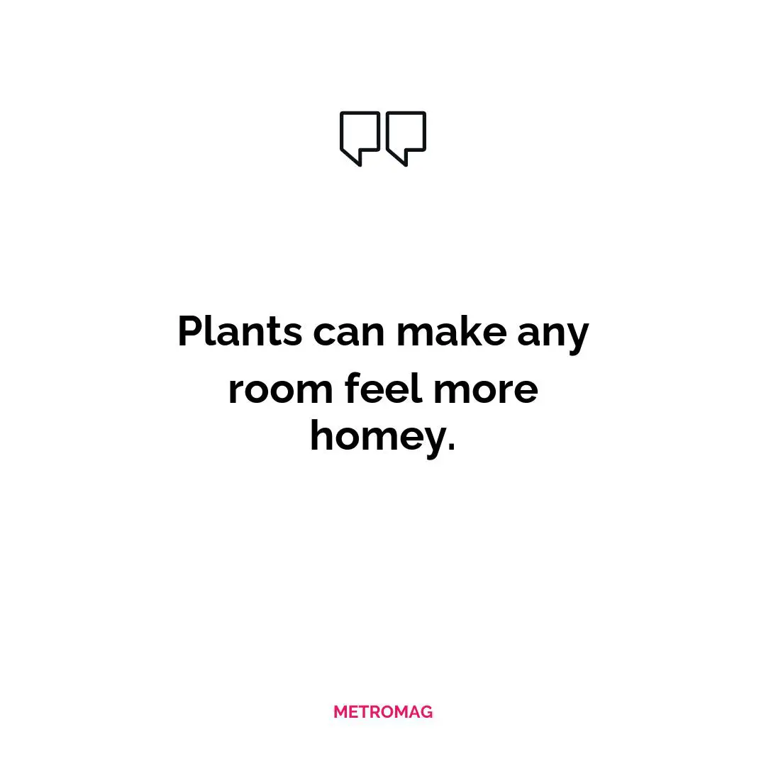 Plants can make any room feel more homey.