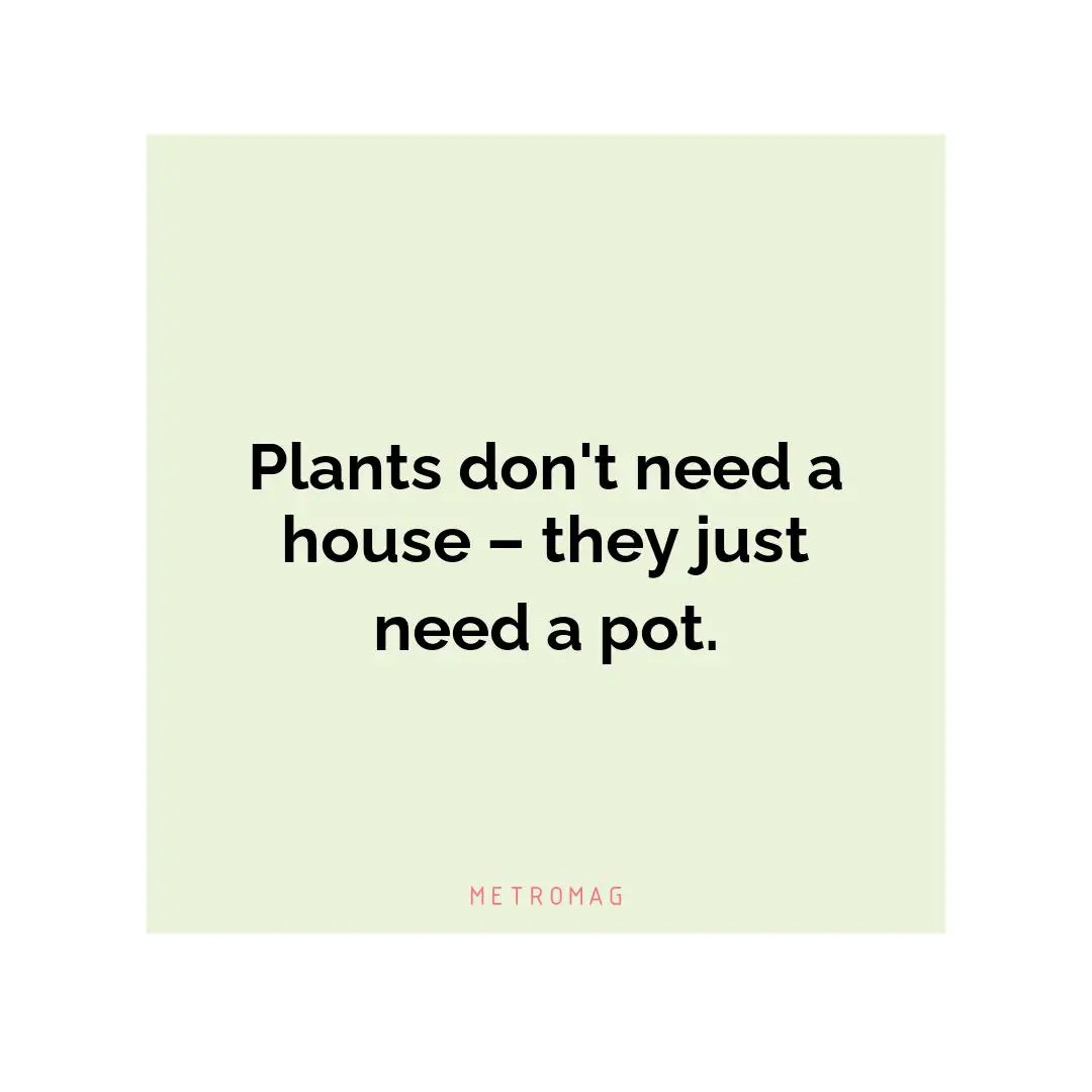 Plants don't need a house – they just need a pot.