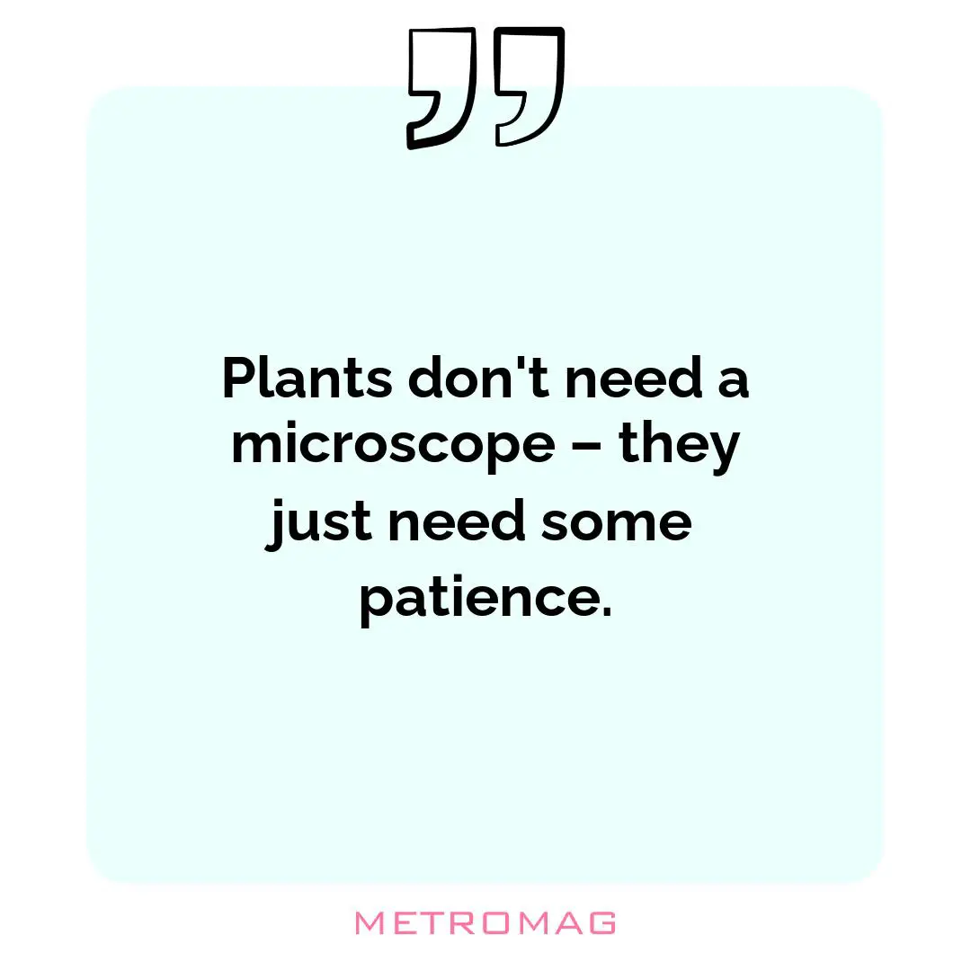 Plants don't need a microscope – they just need some patience.