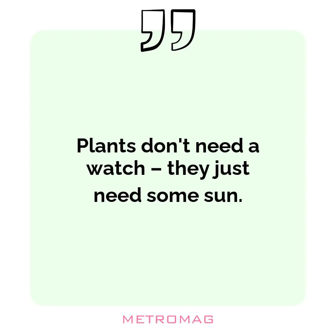 Plants don't need a watch – they just need some sun.