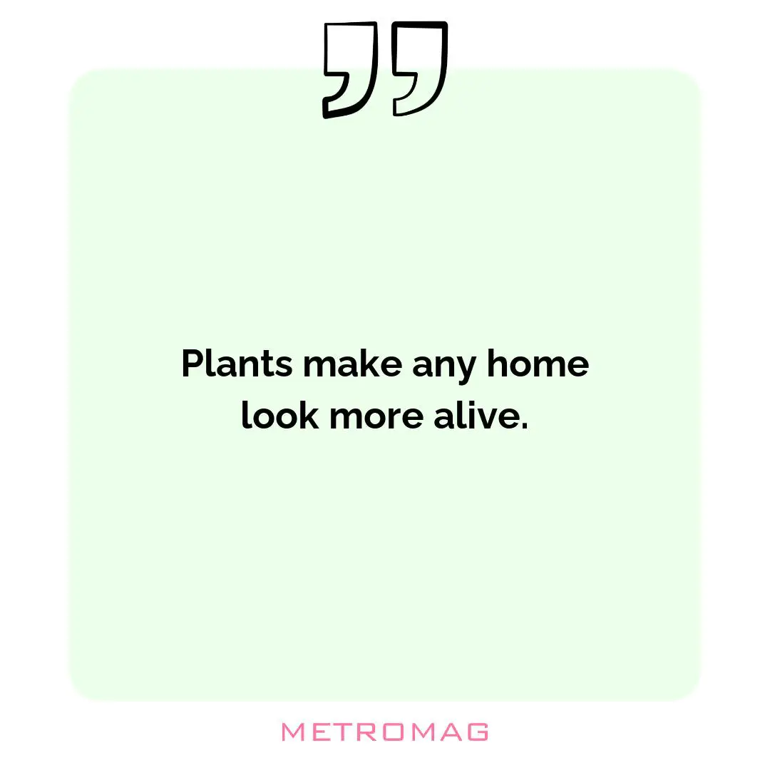 Plants make any home look more alive.