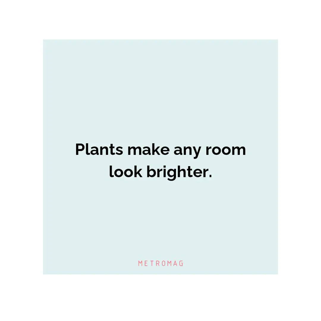 Plants make any room look brighter.