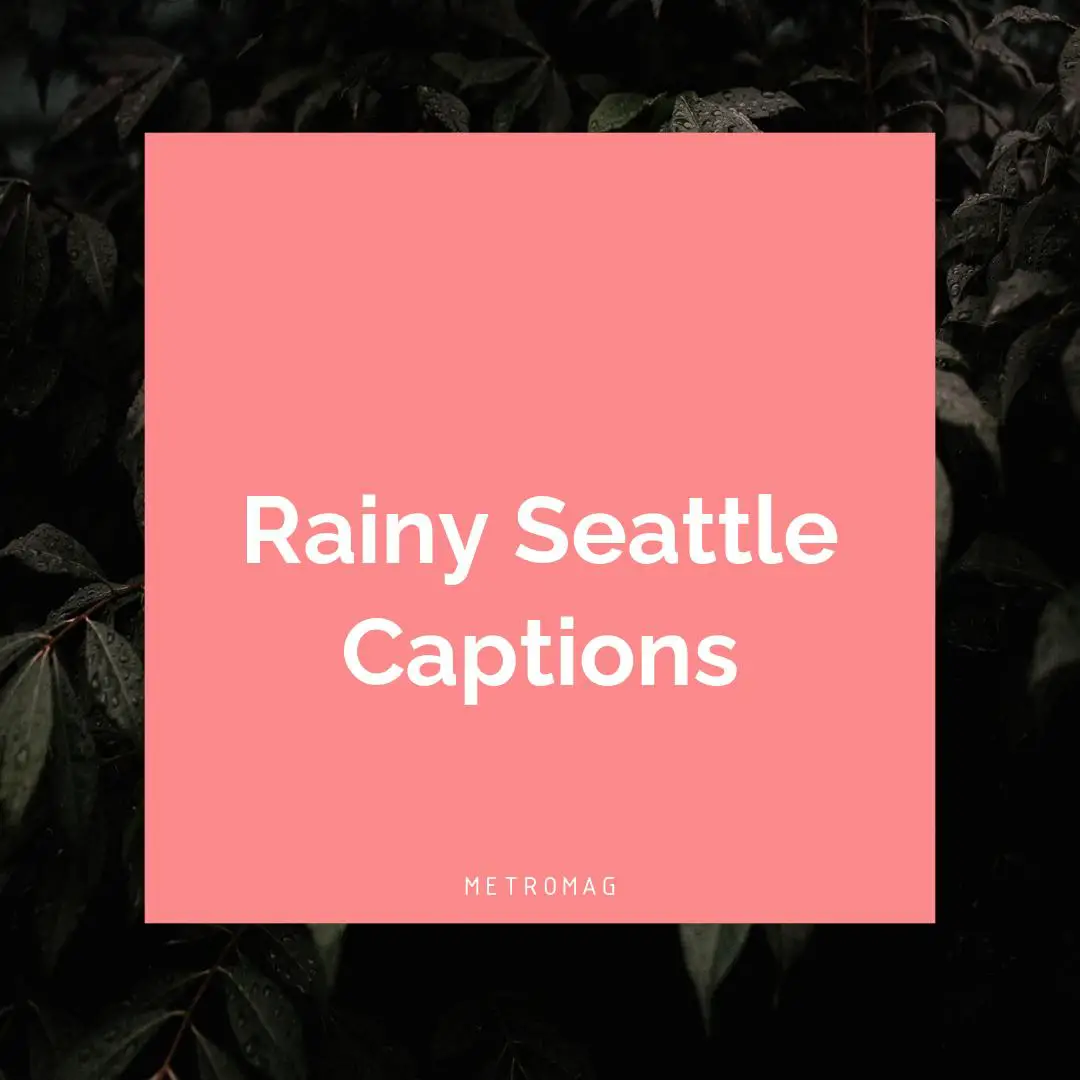 Rainy Seattle Captions