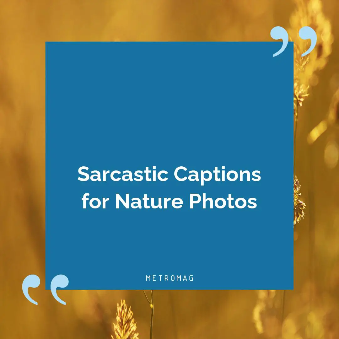 Sarcastic Captions for Nature Photos