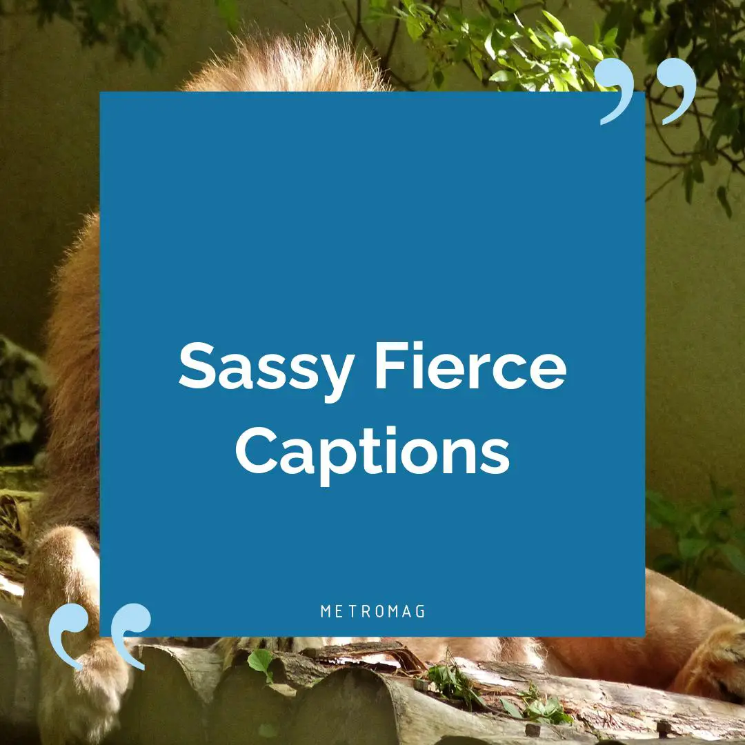 Sassy Fierce Captions