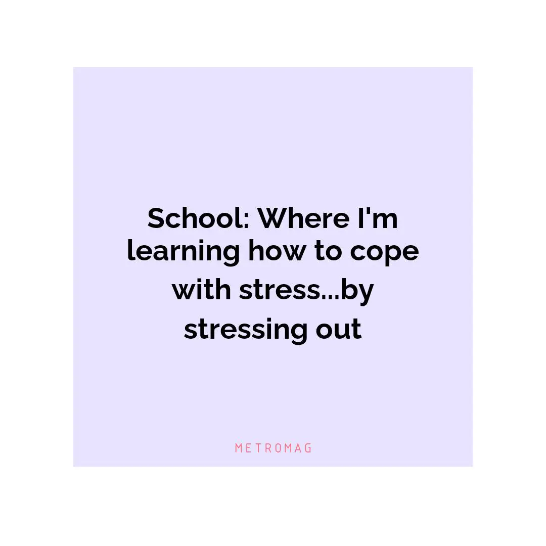 School: Where I'm learning how to cope with stress...by stressing out