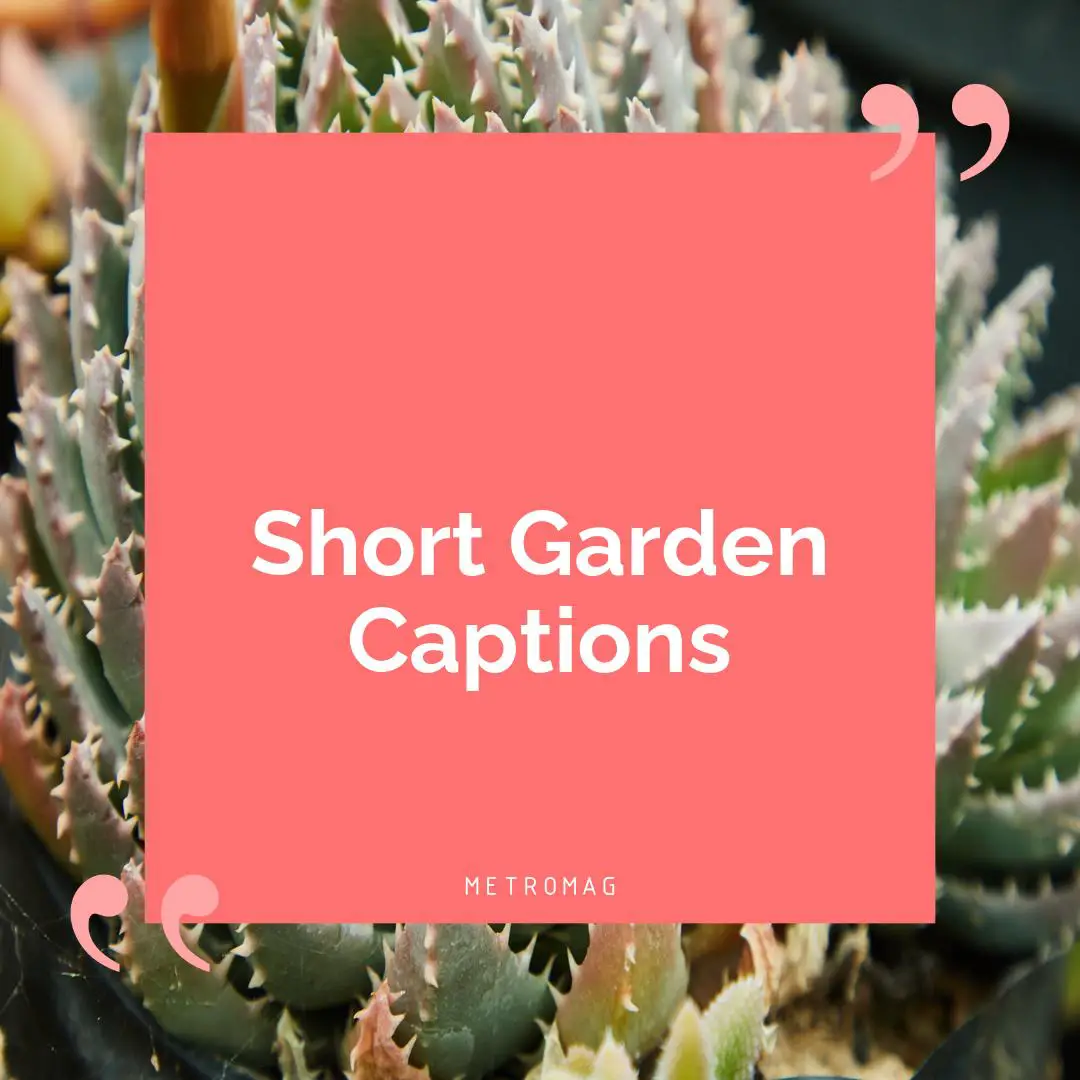 Short Garden Captions