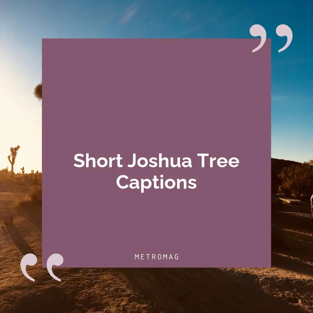 Short Joshua Tree Captions