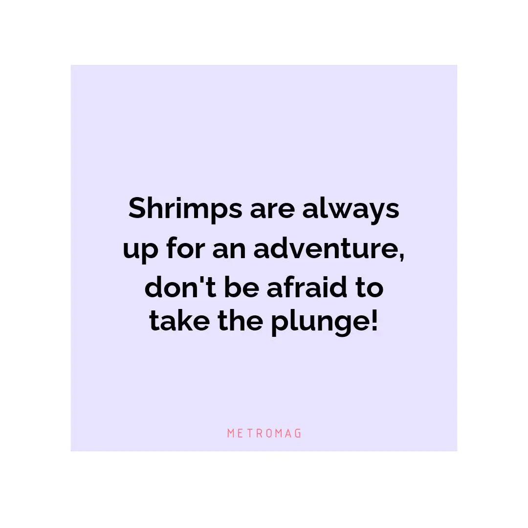 Shrimps are always up for an adventure, don't be afraid to take the plunge!