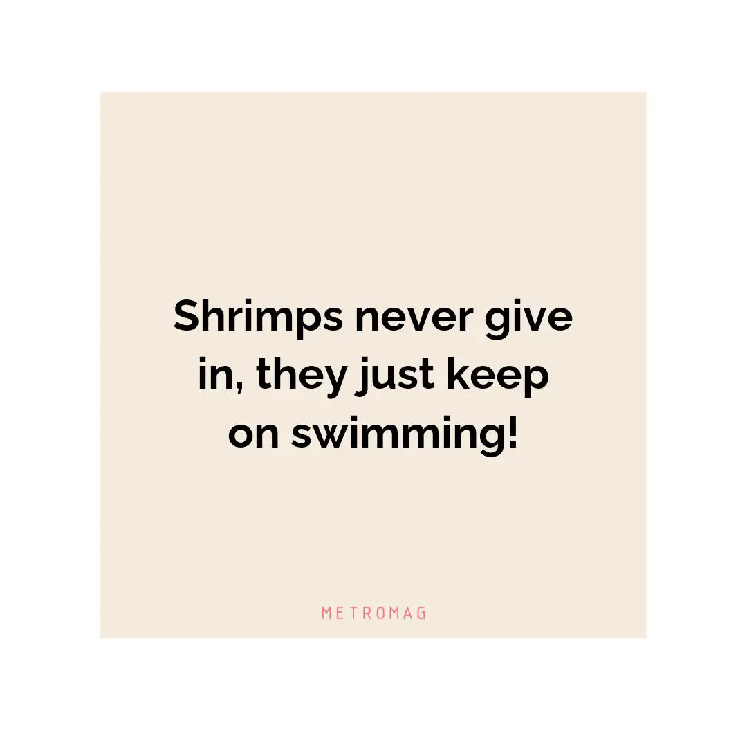 Shrimps never give in, they just keep on swimming!