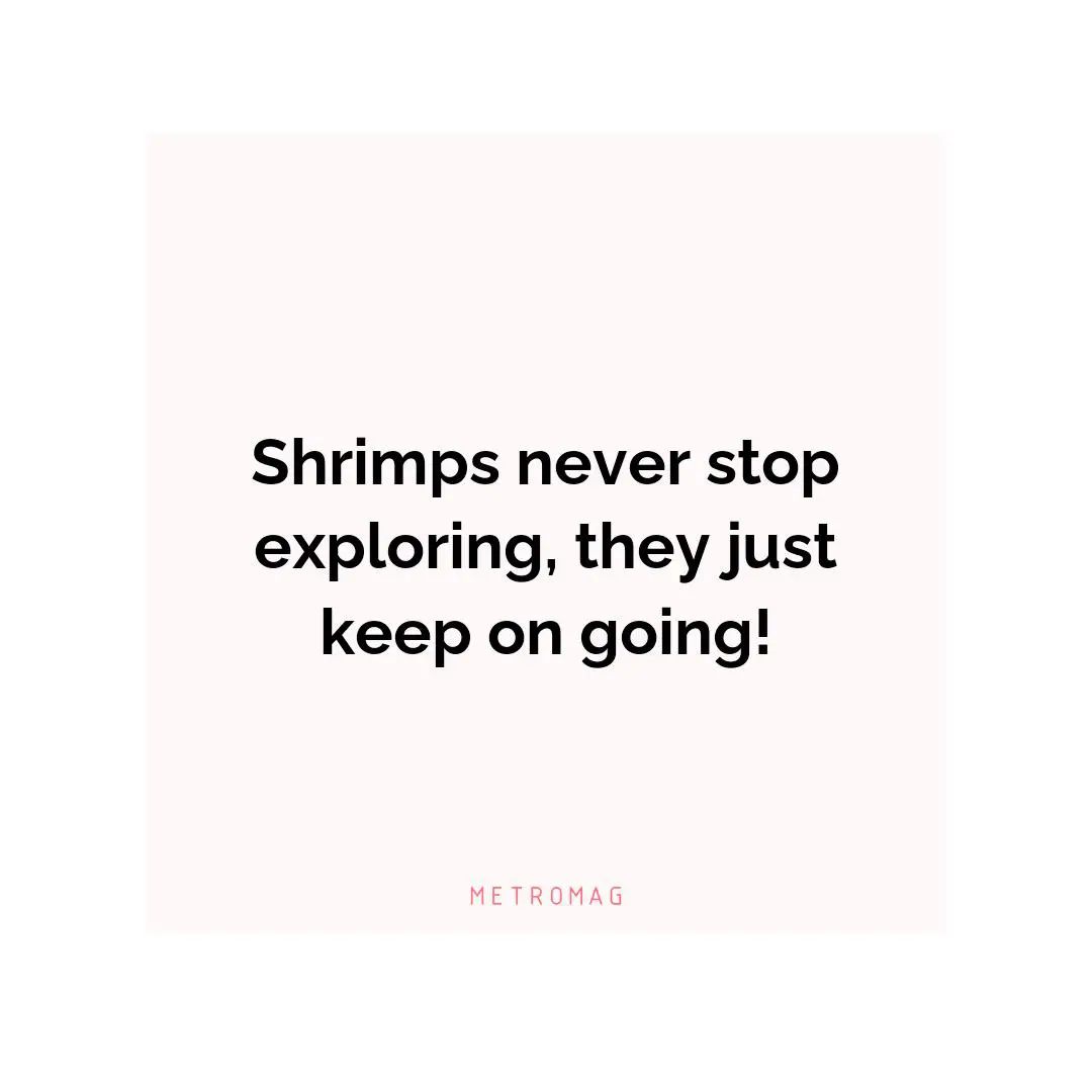 Shrimps never stop exploring, they just keep on going!