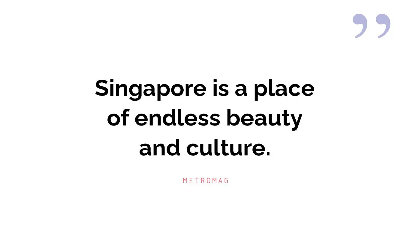 Singapore is a place of endless beauty and culture.