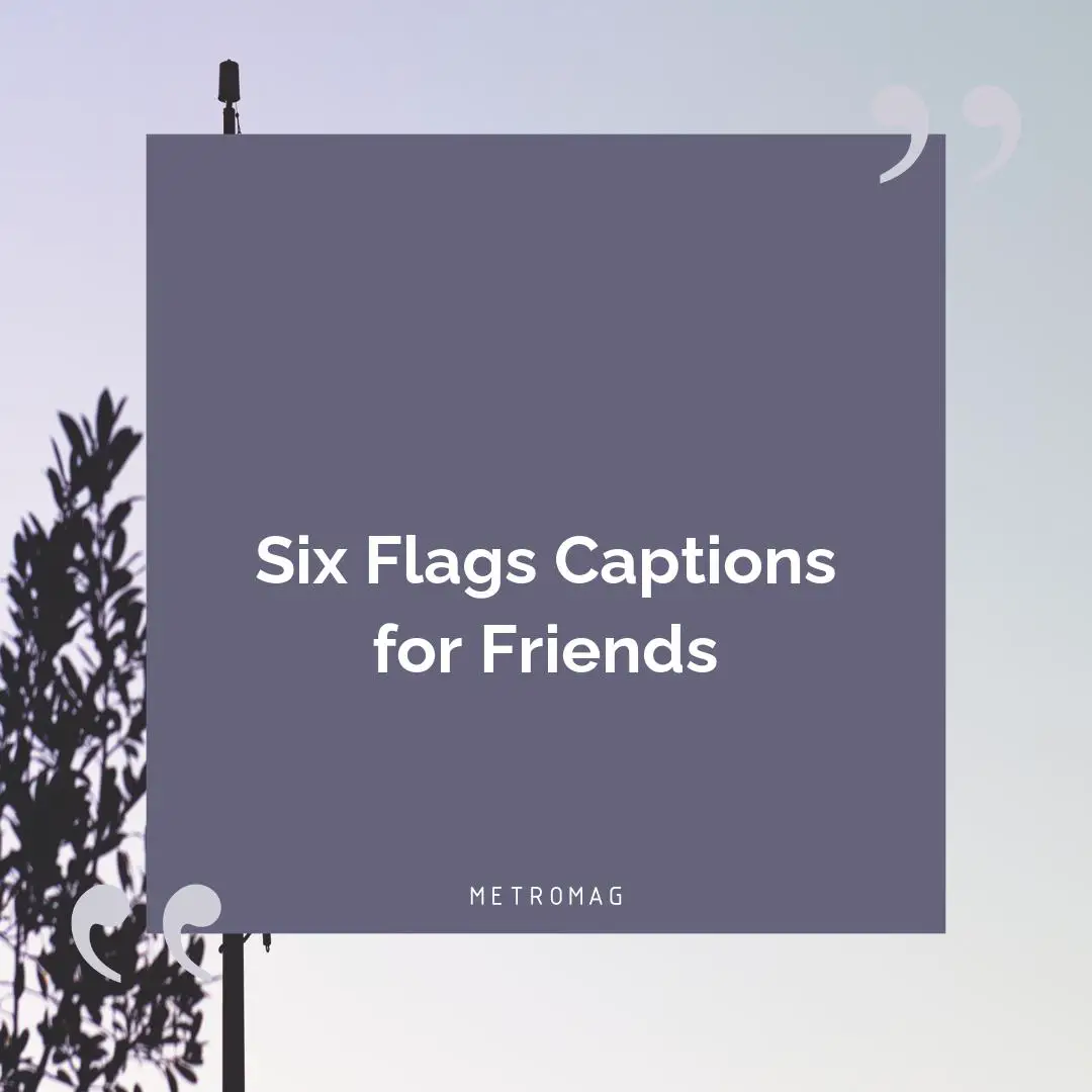 Six Flags Captions for Friends