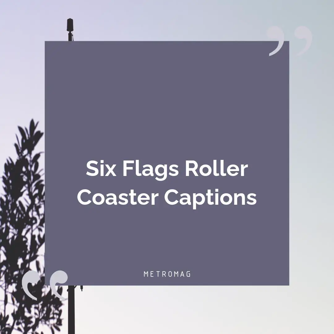 Six Flags Roller Coaster Captions