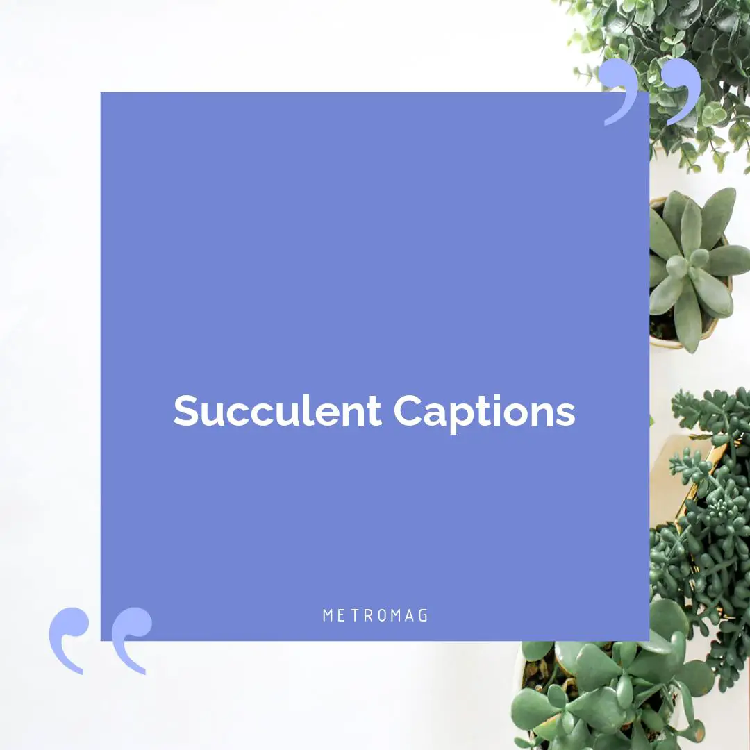 Succulent Captions