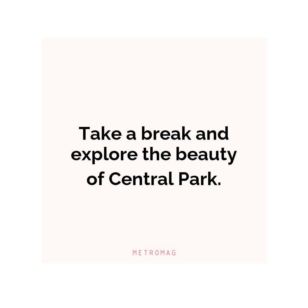 Take a break and explore the beauty of Central Park.