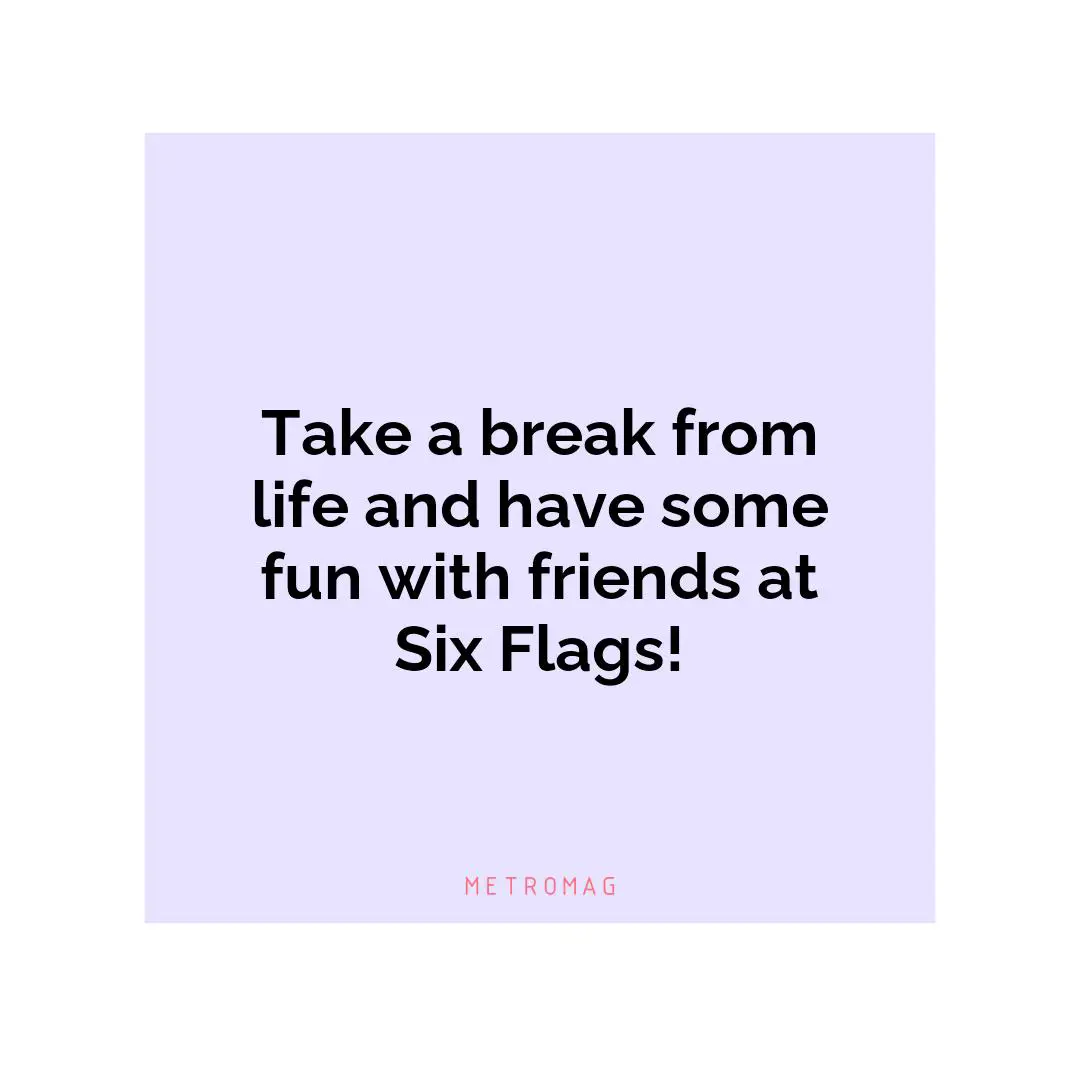 Take a break from life and have some fun with friends at Six Flags!