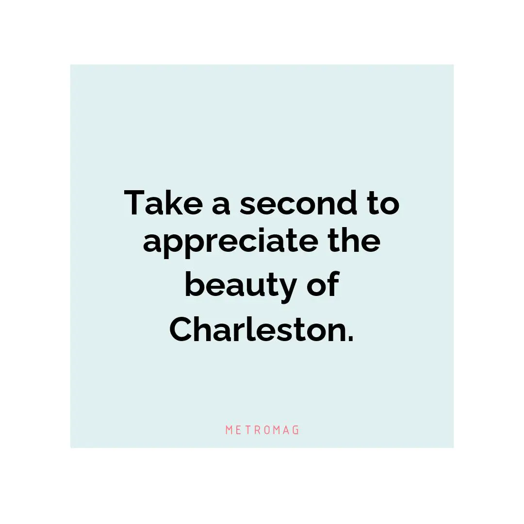 Take a second to appreciate the beauty of Charleston.