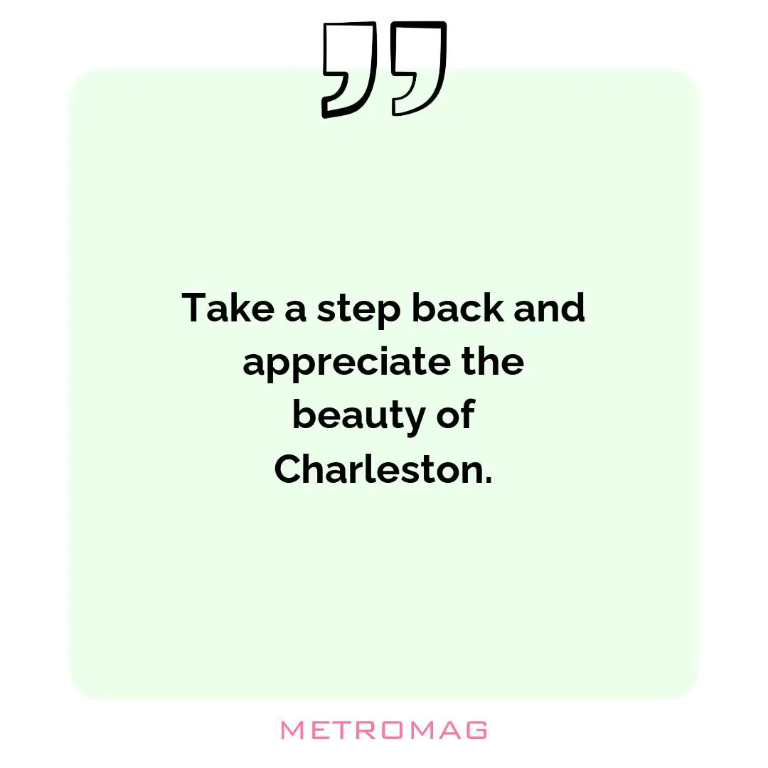 Take a step back and appreciate the beauty of Charleston.