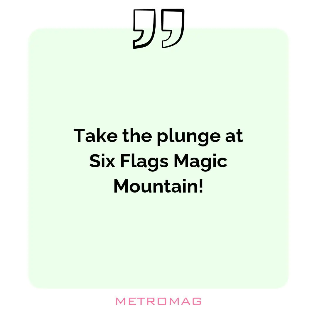 Take the plunge at Six Flags Magic Mountain!