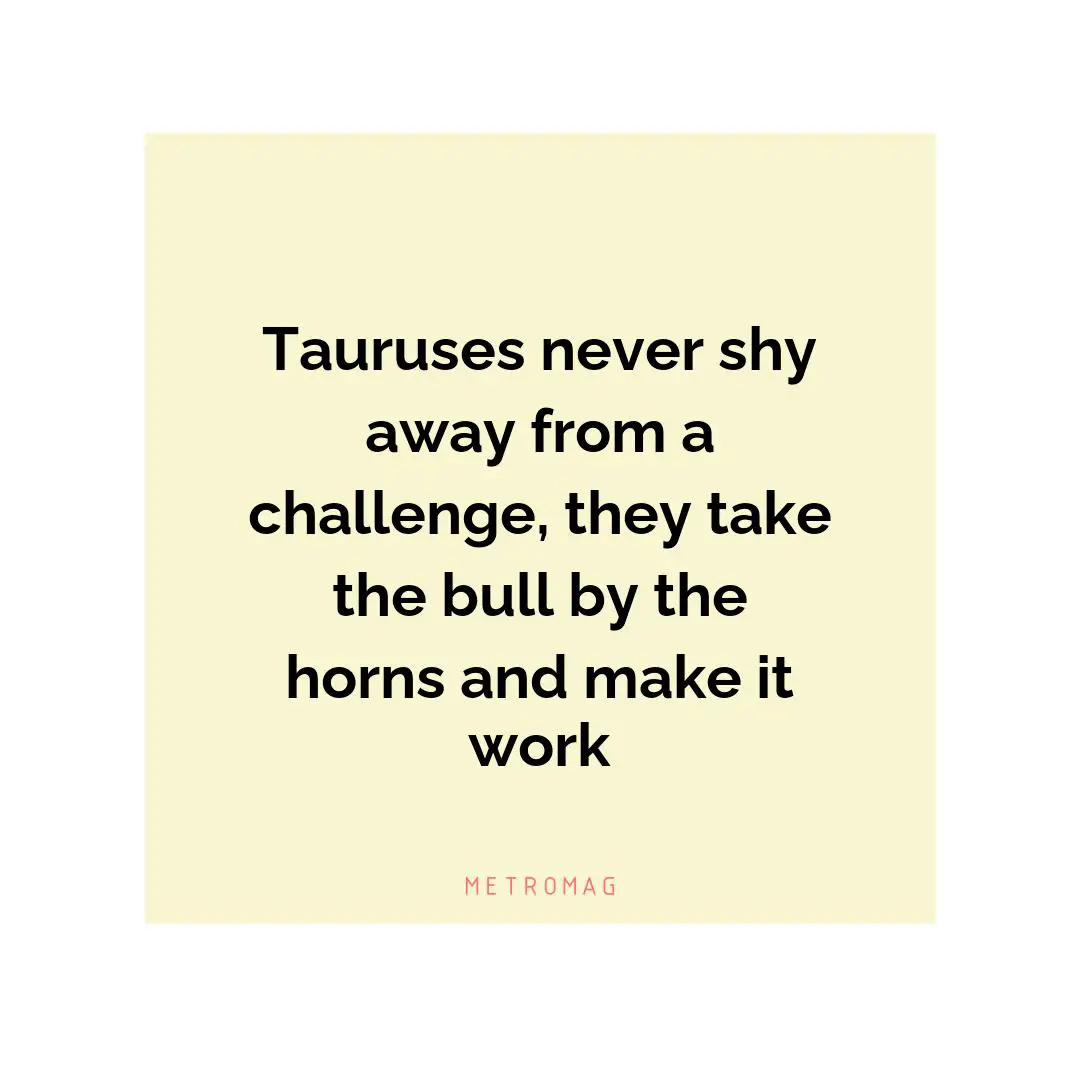 Tauruses never shy away from a challenge, they take the bull by the horns and make it work