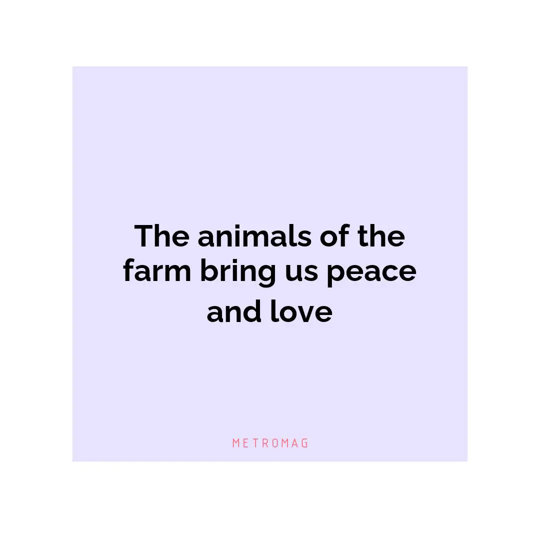 The animals of the farm bring us peace and love