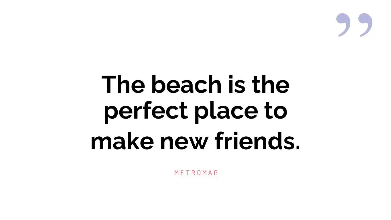 The beach is the perfect place to make new friends.