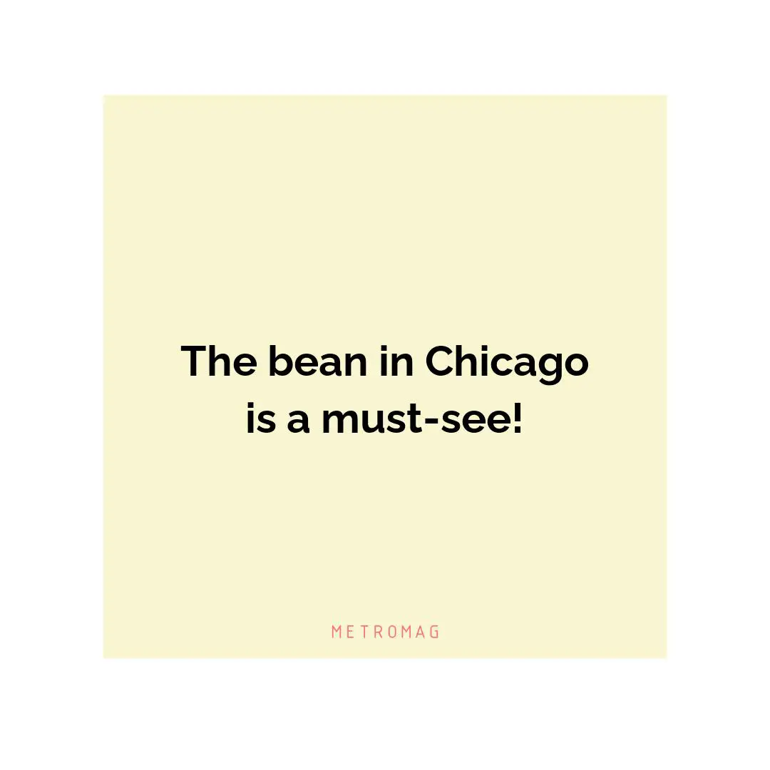 The bean in Chicago is a must-see!