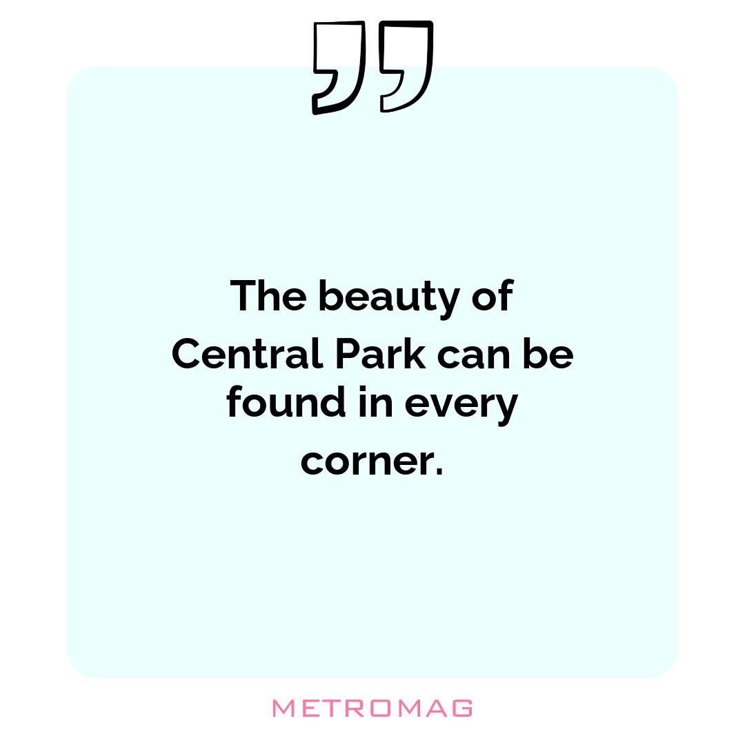 The beauty of Central Park can be found in every corner.