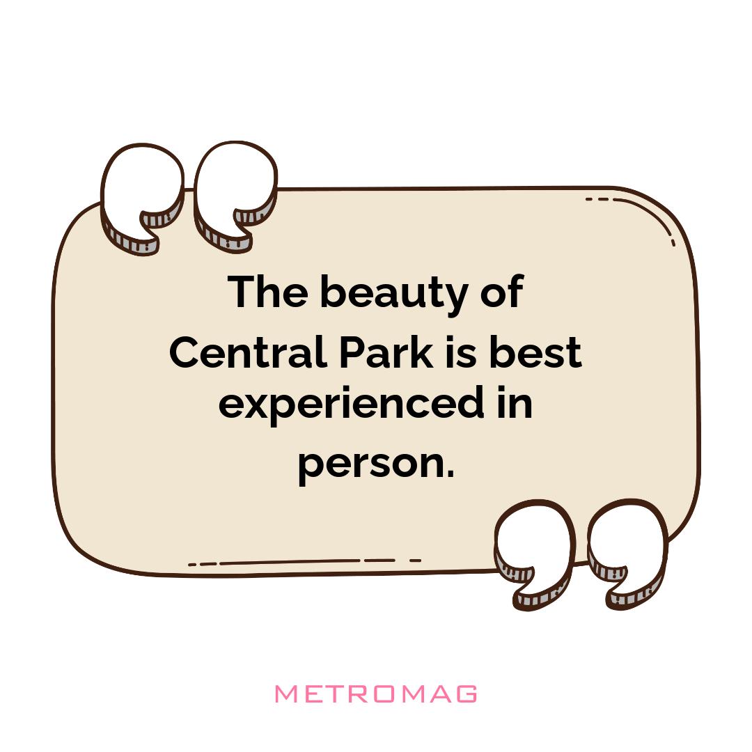The beauty of Central Park is best experienced in person.