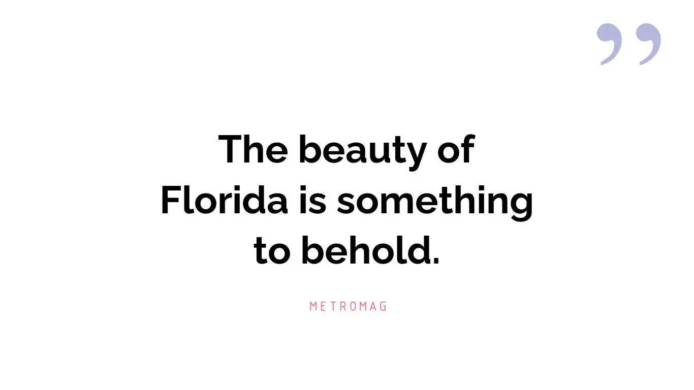 The beauty of Florida is something to behold.