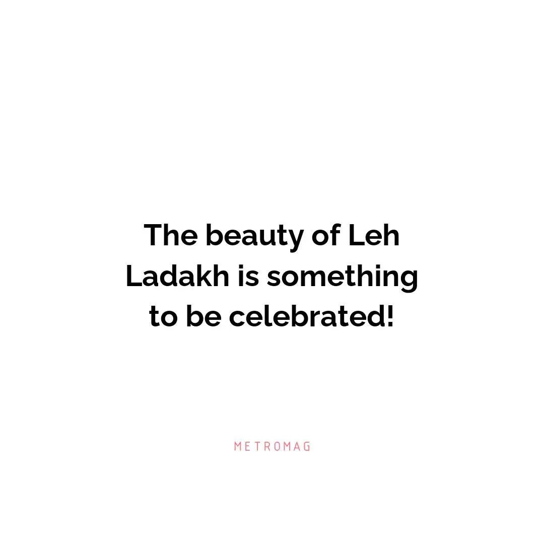 The beauty of Leh Ladakh is something to be celebrated!