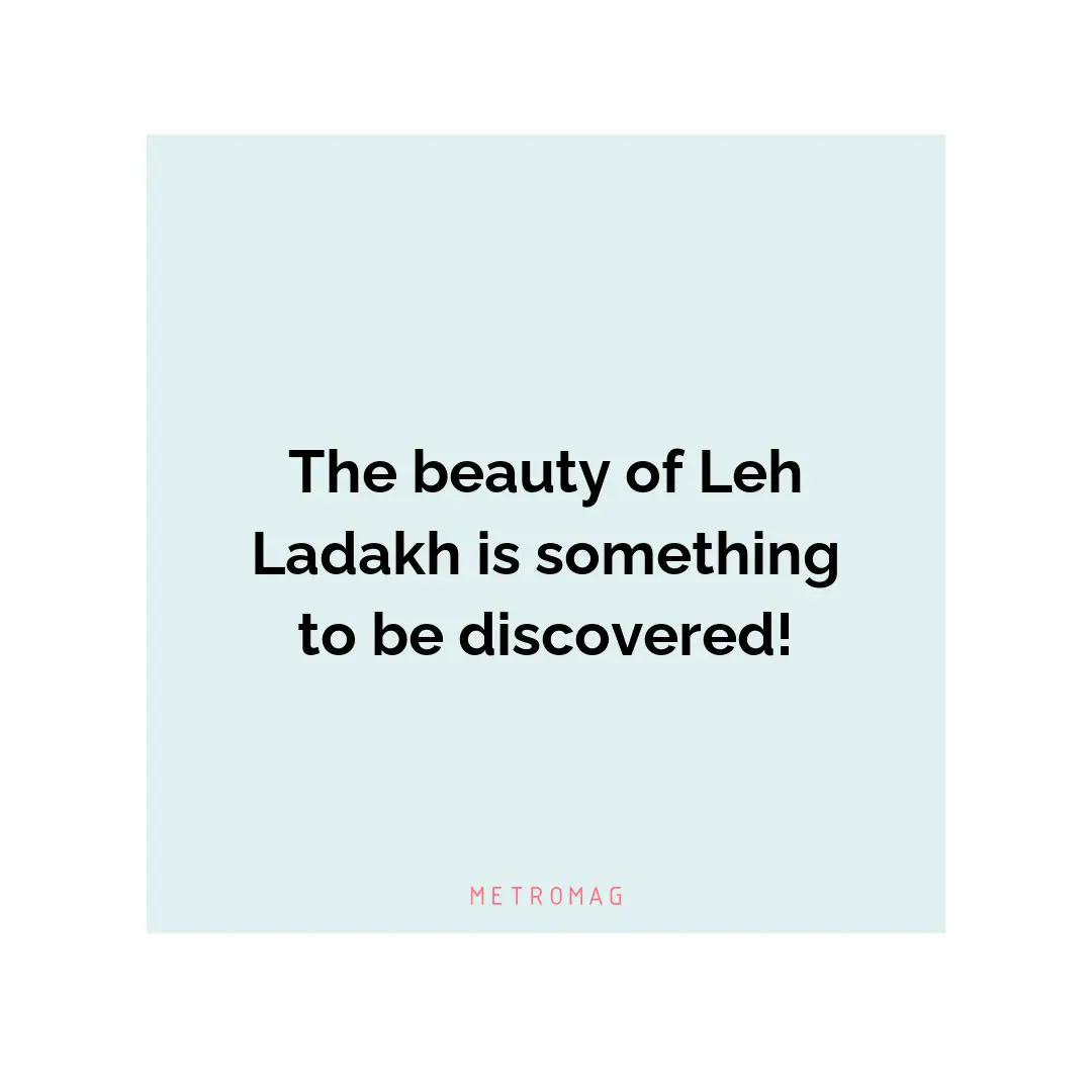 The beauty of Leh Ladakh is something to be discovered!