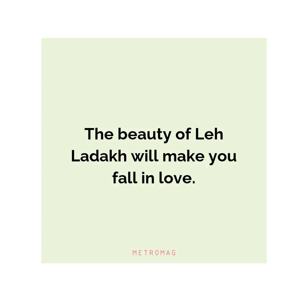 The beauty of Leh Ladakh will make you fall in love.
