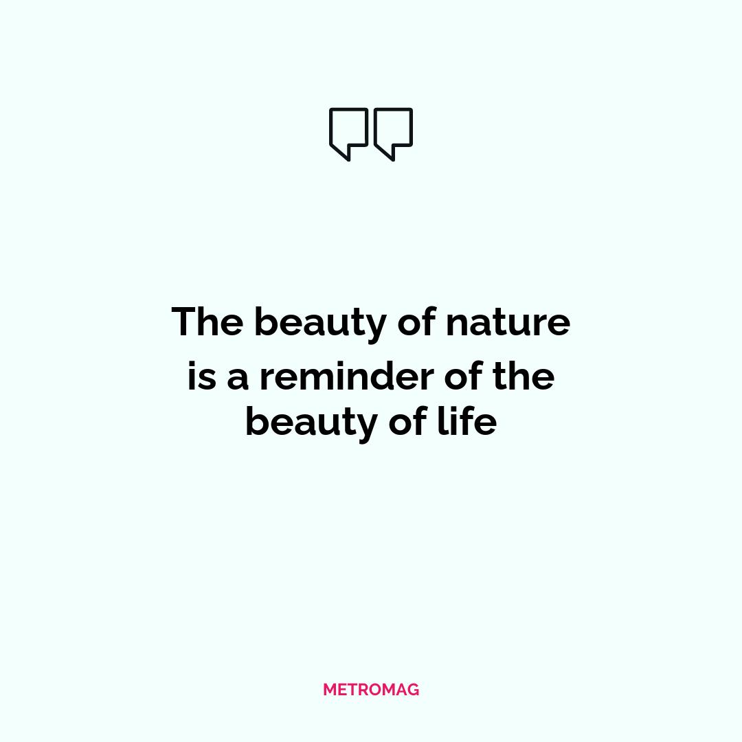 The beauty of nature is a reminder of the beauty of life