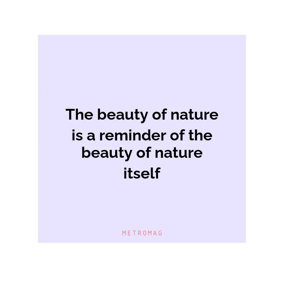 The beauty of nature is a reminder of the beauty of nature itself